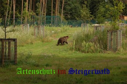 Bild zum Eintrag (25701-160)