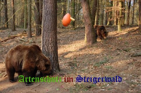 Bild zum Eintrag (25702-160)