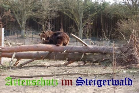 Bild zum Eintrag (25704-160)