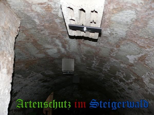 Copyright AiS / 2010 Köhler Bild zum Eintrag (25706-160)