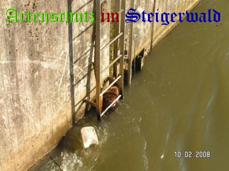 Copyright AiS / Polizeidirektion Bamberg Bild zum Eintrag (25715-160)