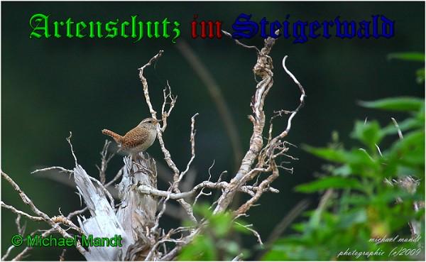 Copyright AiS / 2009 - Michael Mandt Bild zum Eintrag (25734-160)