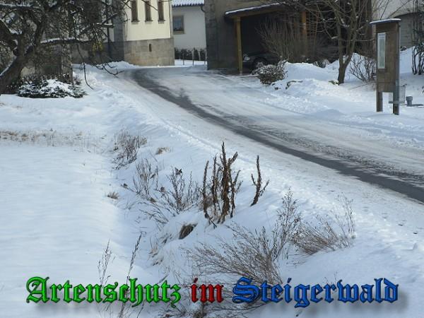 Bild zum Eintrag (25739-160)