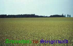 Bild zum Eintrag (25750-160)