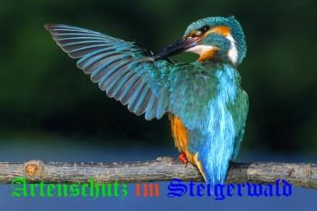 Copyright AiS / Andy Gehrig Bild zum Eintrag (25775-160)