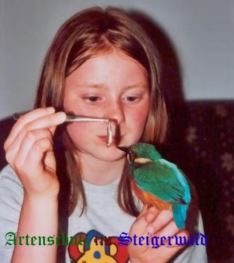 Copyright AiS / Stepanek Bild zum Eintrag (25793-160)