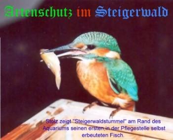 Copyright AiS / Stepanek Bild zum Eintrag (25794-160)