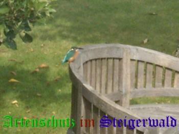 Copyright AiS / Graumann Bild zum Eintrag (25807-160)