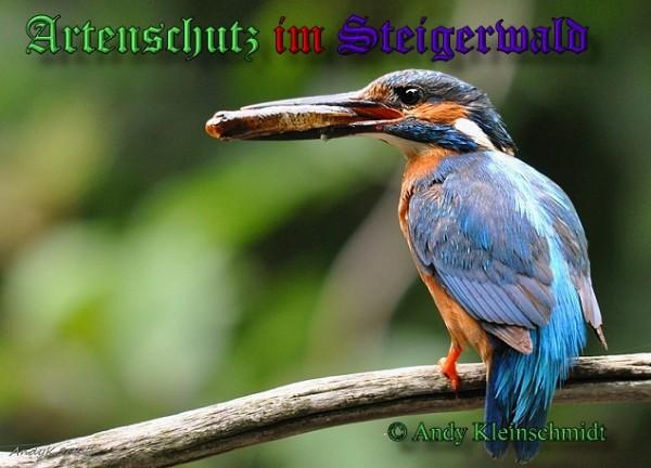 Copyright AiS / Andy Kleinschmidt Bild zum Eintrag (25842-160)