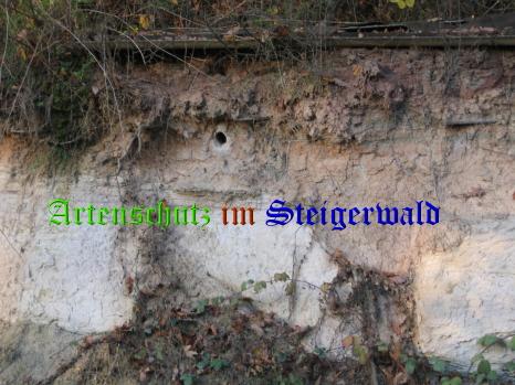 Bild zum Eintrag (25872-160)