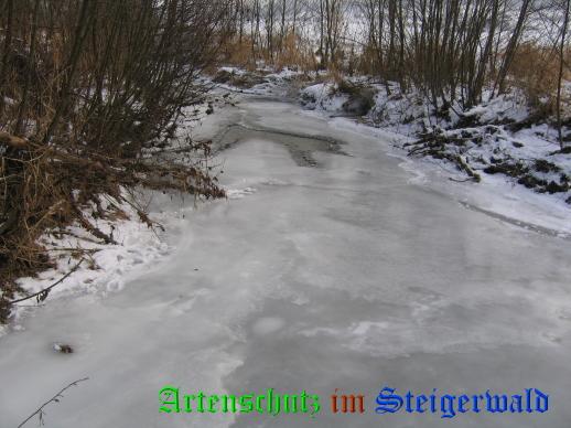 Bild zum Eintrag (25882-160)