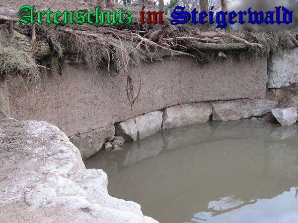 Copyright AiS / 2009 - Weidner Bild zum Eintrag (25891-160)