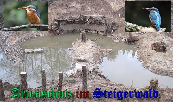 Copyright AiS / 2009 - Collage Weidner / Kleinschmidt Bild zum Eintrag (25892-160)