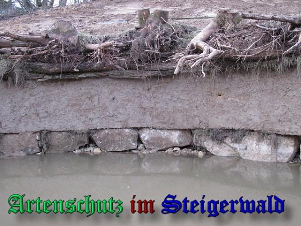 Copyright AiS / 2009 - Köhler Bild zum Eintrag (25893-160)