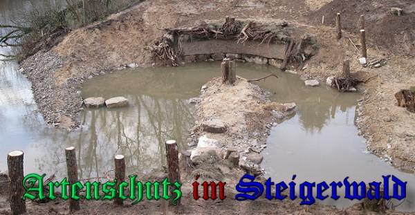 Bild zum Eintrag (25896-160)