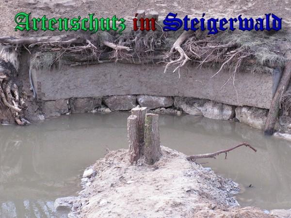 Bild zum Eintrag (25897-160)