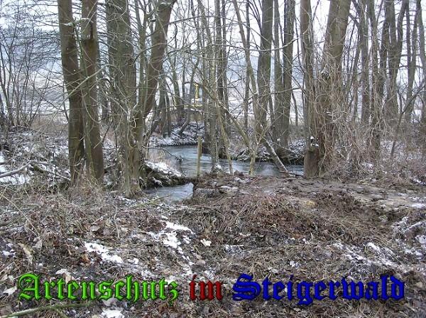 Copyright AiS / 2010 - Kunze Bild zum Eintrag (25911-160)