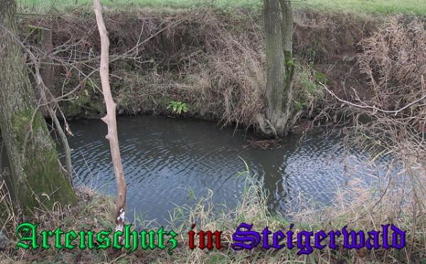 Copyright AiS / Köhler Bild zum Eintrag (25923-160)