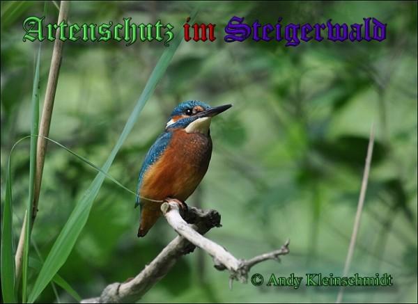 Copyright AiS / 2009 - Andy Kleinschmidt Bild zum Eintrag (25924-160)