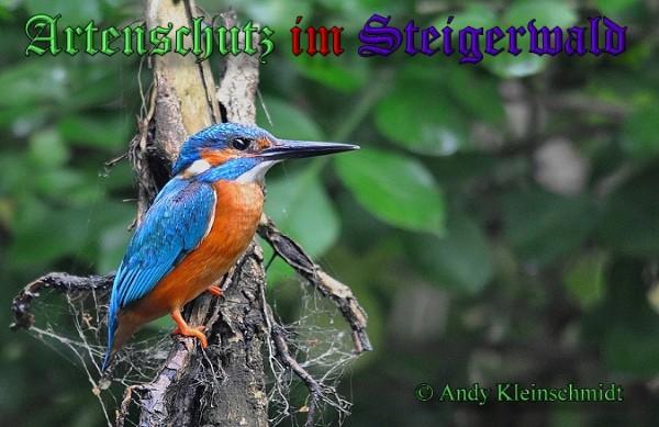 Copyright AiS / 2009 - Andy Kleinschmidt Bild zum Eintrag (25925-160)