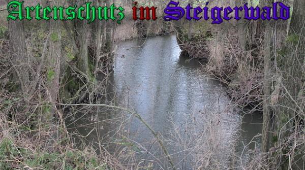 Copyright AiS / 2009 - Köhler Bild zum Eintrag (25926-160)