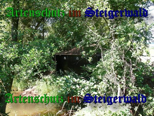 Copyright AiS / 2010 Bild zum Eintrag (25941-160)