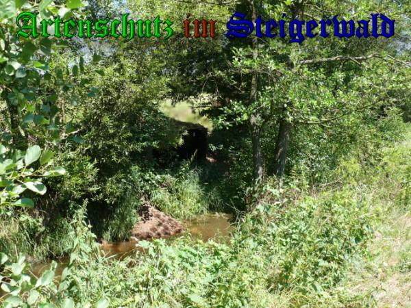 Copyright AiS / 2010 Bild zum Eintrag (25942-160)