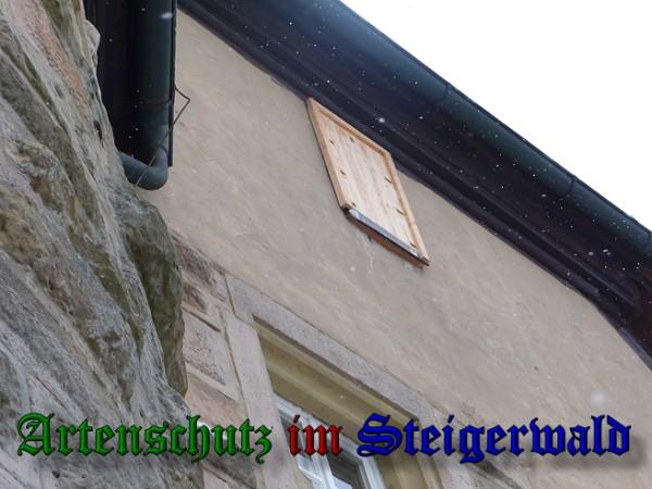 Copyright AiS / 2010 CS Bild zum Eintrag (25966-160)