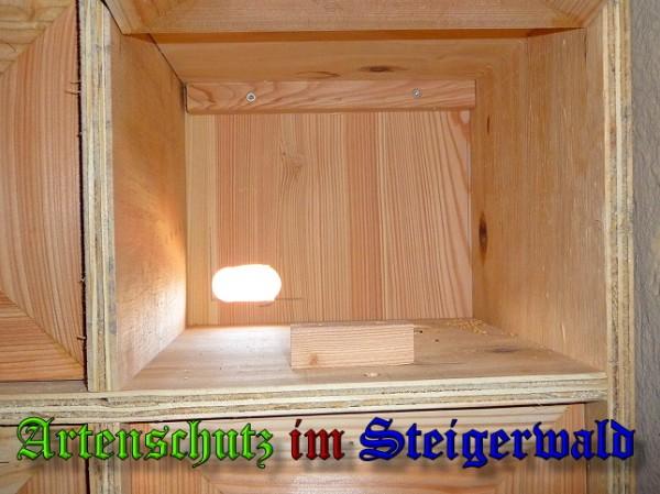 Copyright AiS / 2010 Seven Bild zum Eintrag (25991-160)