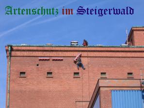 Copyright AiS / Köhler Bild zum Eintrag (25999-160)