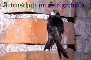 Copyright AiS / Wolfgang Willner Bild zum Eintrag (26000-160)