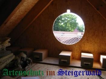Copyright AiS / Unger Bild zum Eintrag (26017-160)