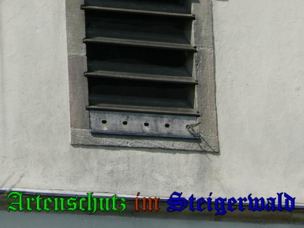Copyright AiS / 2009 Köhler Bild zum Eintrag (26028-160)