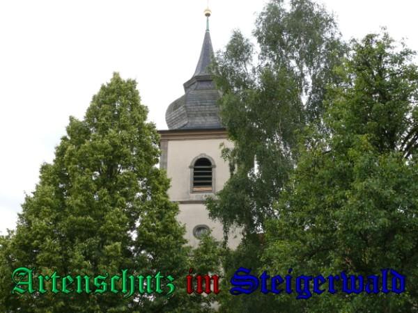 Bild zum Eintrag (26037-160)