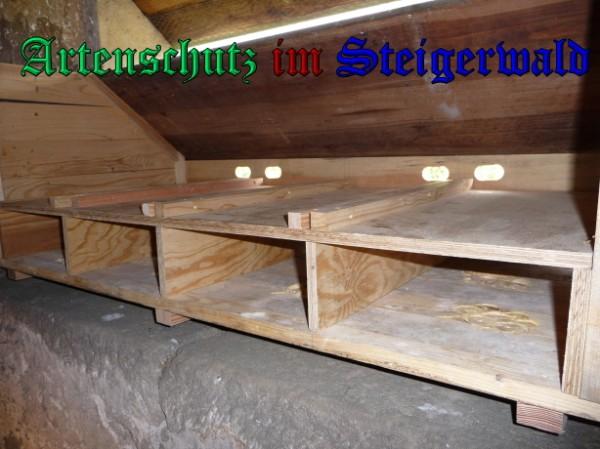 Copyright AiS / 2009 Seven Bild zum Eintrag (26041-160)