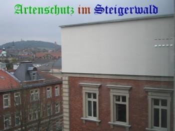 Copyright AiS / Gärtig Bild zum Eintrag (26055-160)