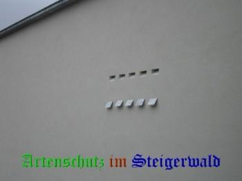 Copyright AiS / Gärtig Bild zum Eintrag (26056-160)