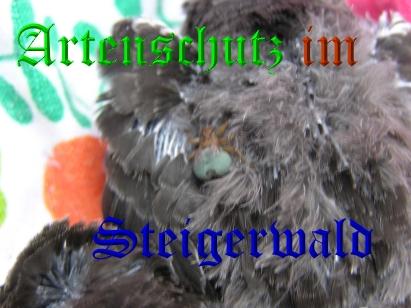 Copyright AiS / Kunze Bild zum Eintrag (26071-160)