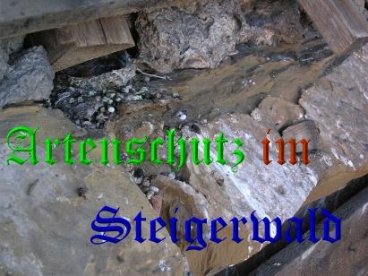 Copyright AiS / Kunze Bild zum Eintrag (26073-160)