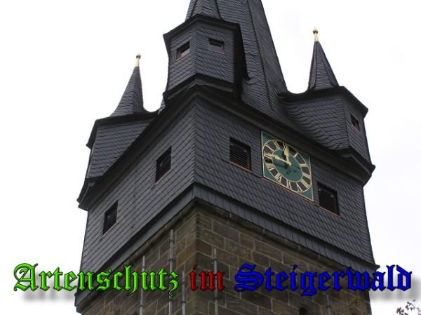 Copyright AiS / 2009 Kunze Bild zum Eintrag (26095-160)