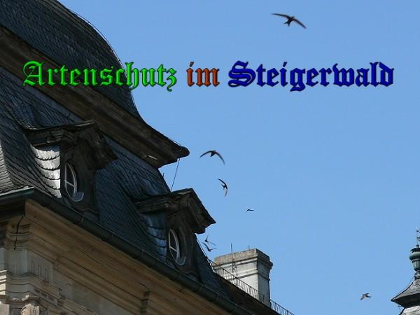 Copyright AiS / 2010 Bild zum Eintrag (26104-160)