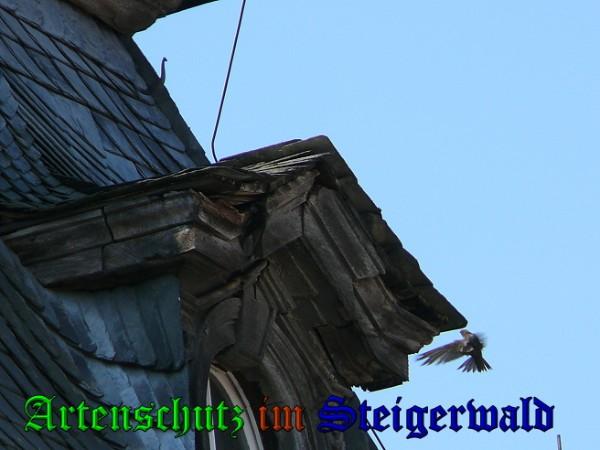 Copyright AiS / 2010 Bild zum Eintrag (26105-160)