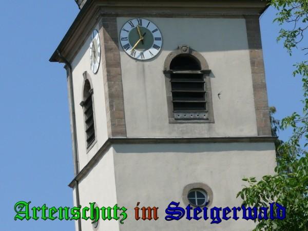 Copyright AiS / 2010 Bild zum Eintrag (26106-160)