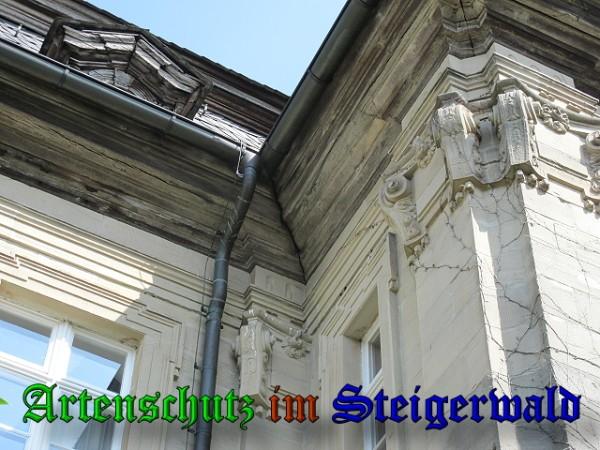 Copyright AiS / 2010 Bild zum Eintrag (26108-160)