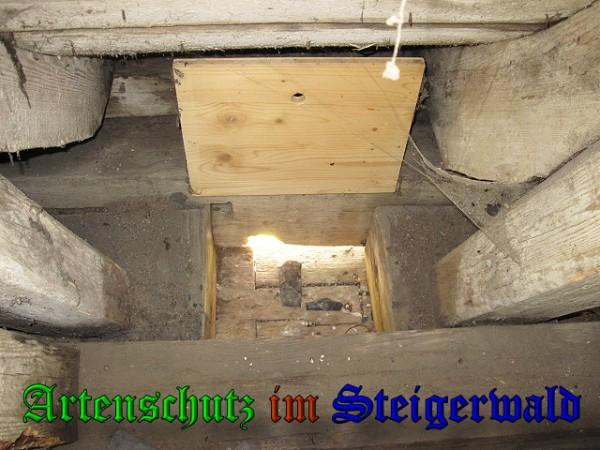 Copyright AiS / 2010 Bild zum Eintrag (26110-160)