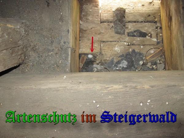 Copyright AiS / 2010 Bild zum Eintrag (26111-160)
