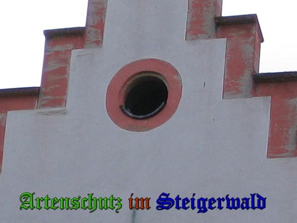 Copyright AiS / 2010 Bild zum Eintrag (26122-160)
