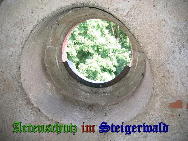 Copyright AiS / 2010 Bild zum Eintrag (26123-160)