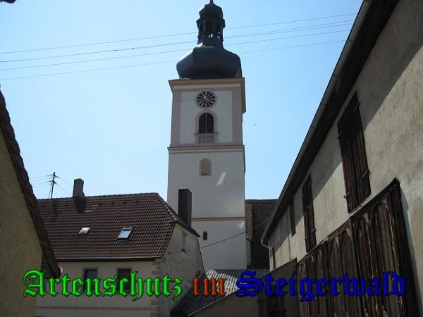 Copyright AiS / 2010 Bild zum Eintrag (26160-160)