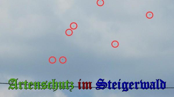 Copyright AiS / 2010 Schaller Bild zum Eintrag (26189-160)